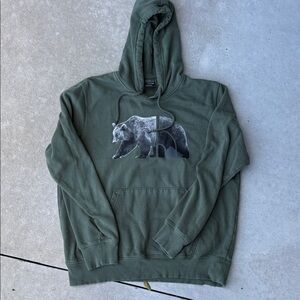 The North Face Green Hoodie with Bear Graphic
